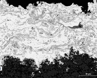 Photo 2 (Image of a coating microstructure)